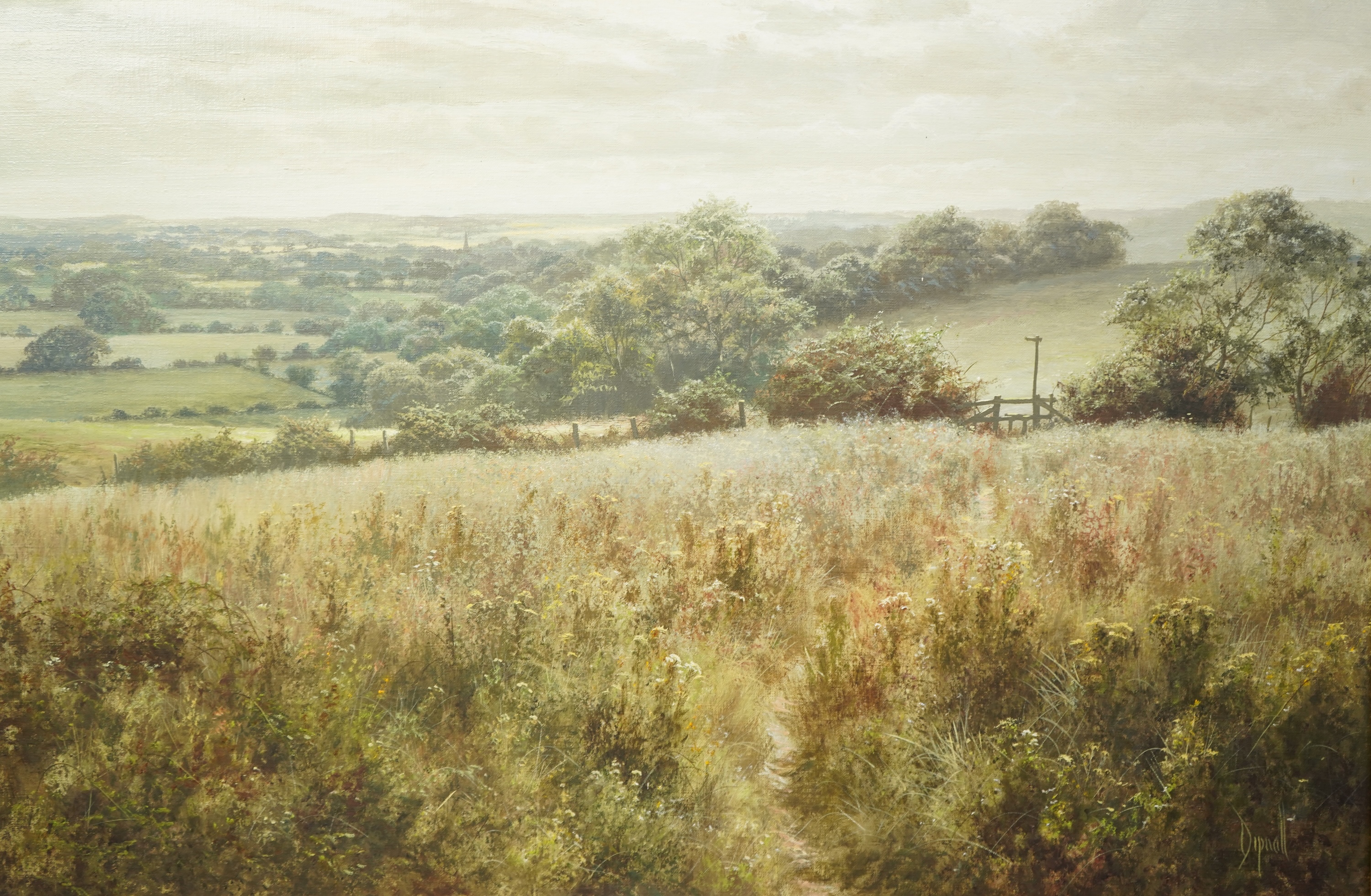 David Dipnall (1941-2023), Wild Meadow landscape